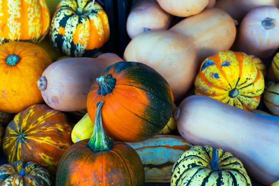 vegetables of Santa Barbara Farmers Market