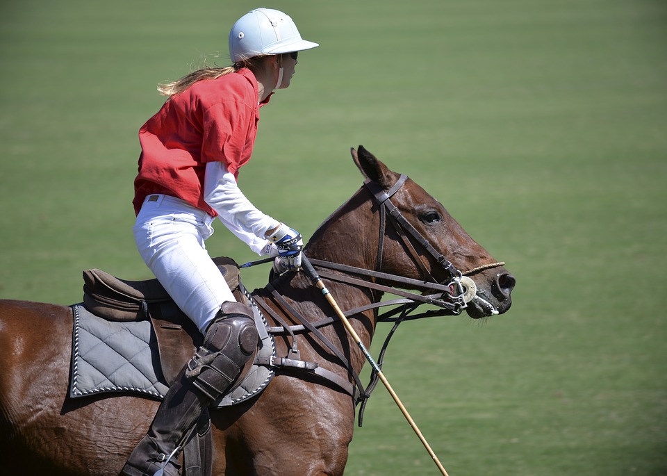 Polo Santa Barbara